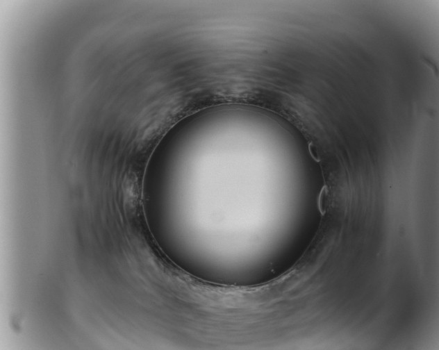 X0000103310040200809051554