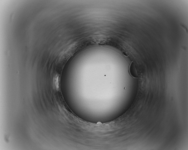 X0000103310042200809051554
