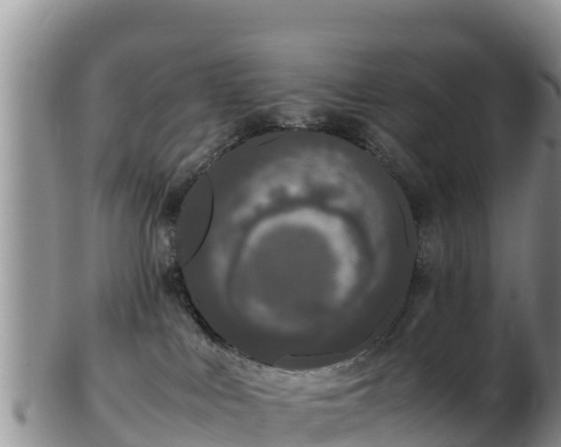 X0000103310043200809051554