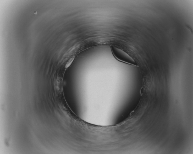 X0000103310044200809051554