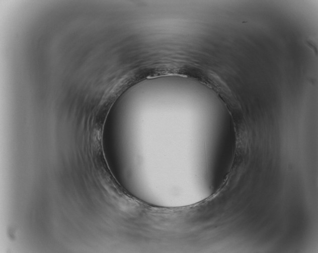 X0000103310045200809051554