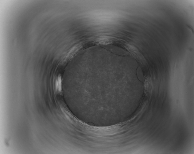 X0000103310046200809051554