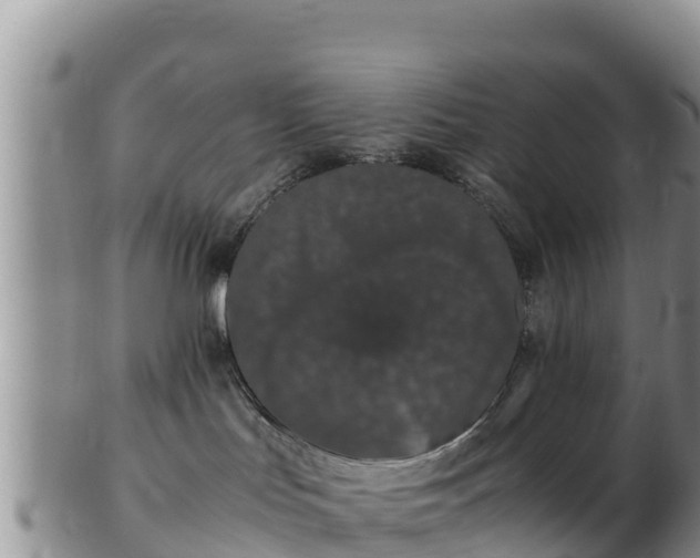 X0000103310047200809051554
