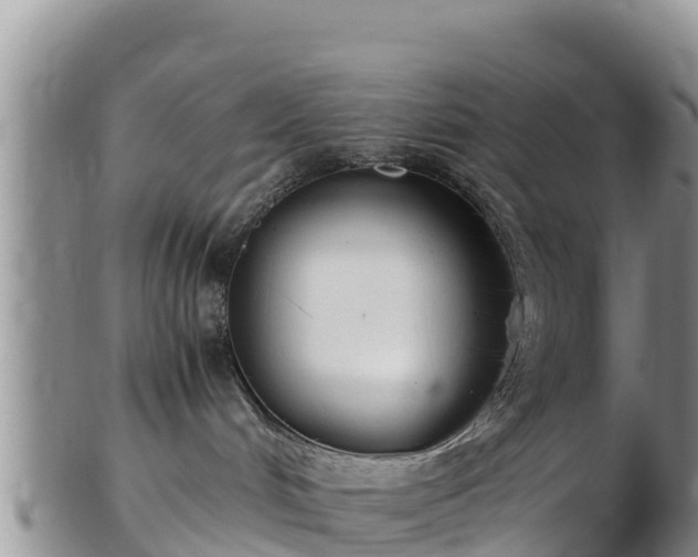 X0000103310048200809051554