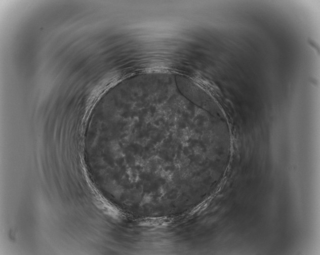 X0000103310049200809051554