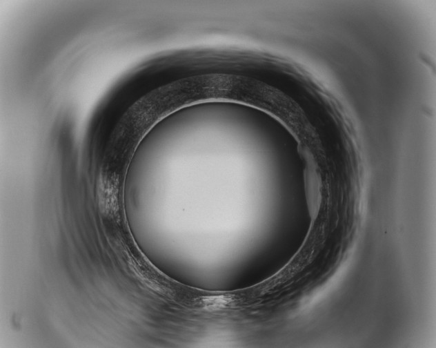 X0000103310050200809051554