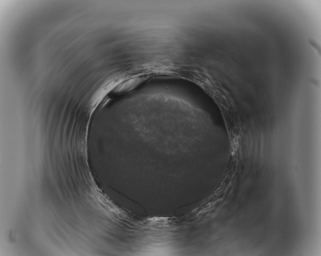 X0000103310052200809051554
