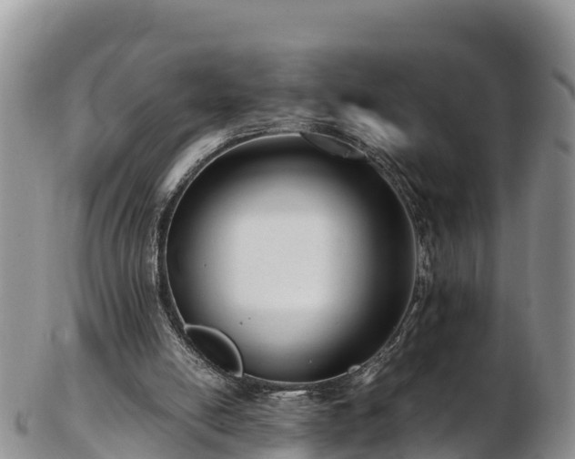 X0000103310054200809051554