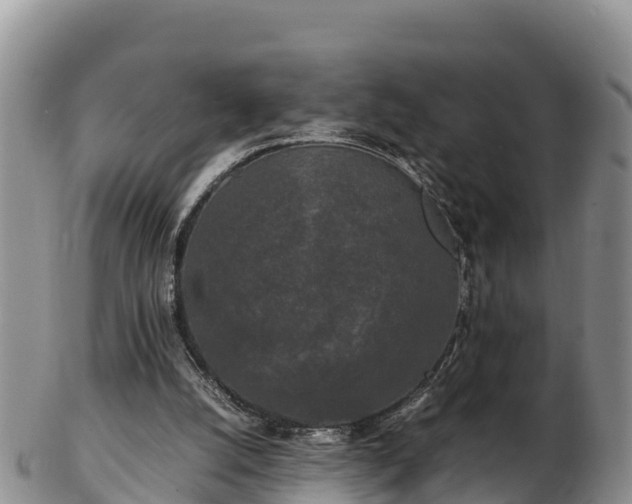 X0000103310056200809051554