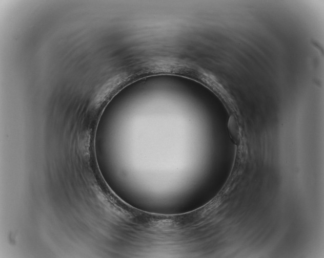 X0000103310058200809051554