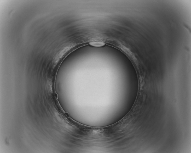 X0000103310060200809051554