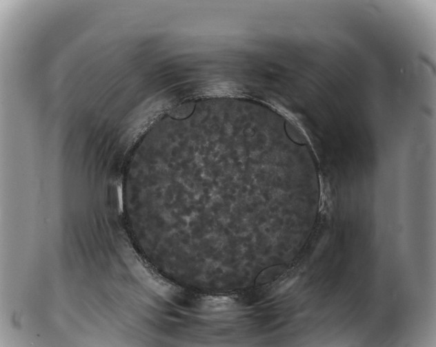 X0000103310061200809051554