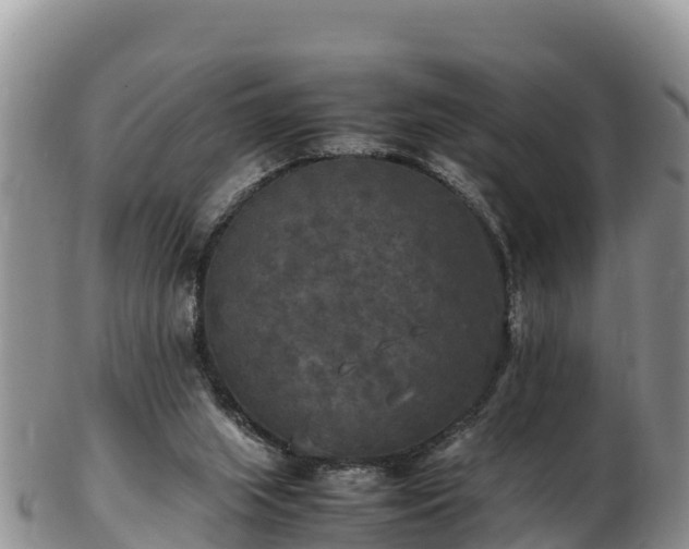 X0000103310063200809051554