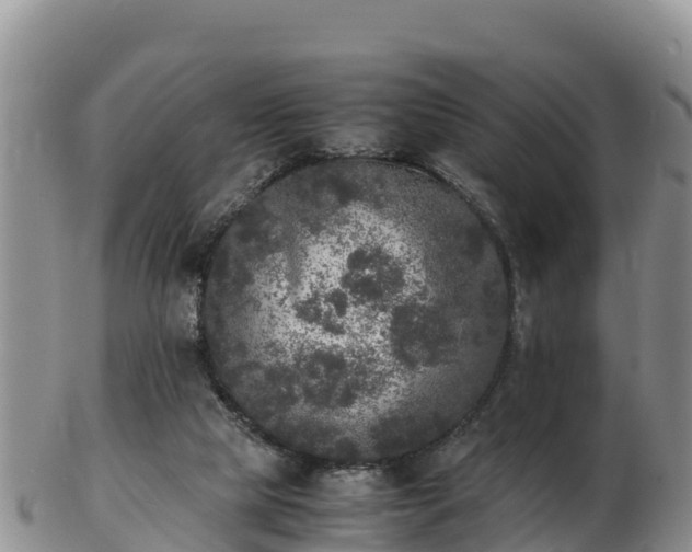 X0000103310065200809051554