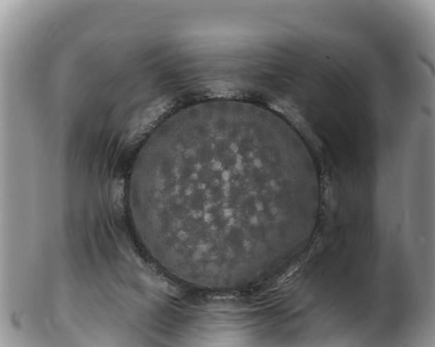 X0000103310066200809051554