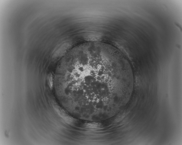 X0000103310069200809051554