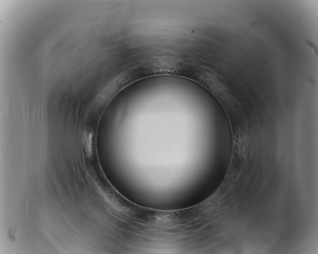X0000103310070200809051554