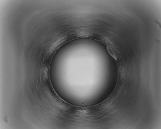 X0000103310071200809051554