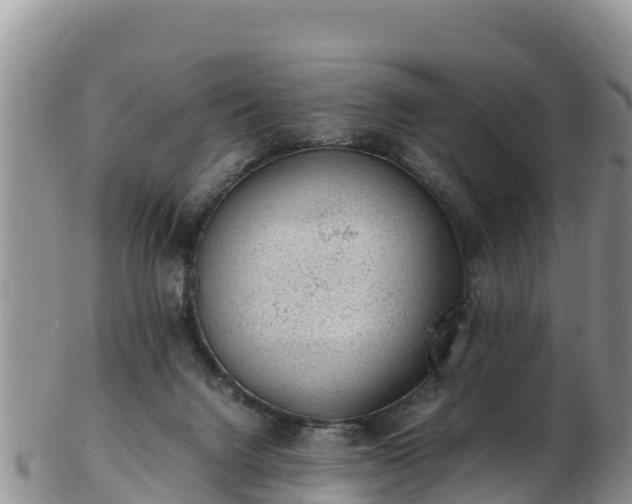X0000103310072200809051554