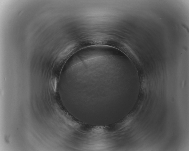 X0000103310076200809051554