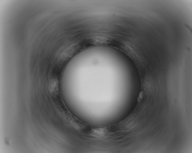 X0000103310079200809051554