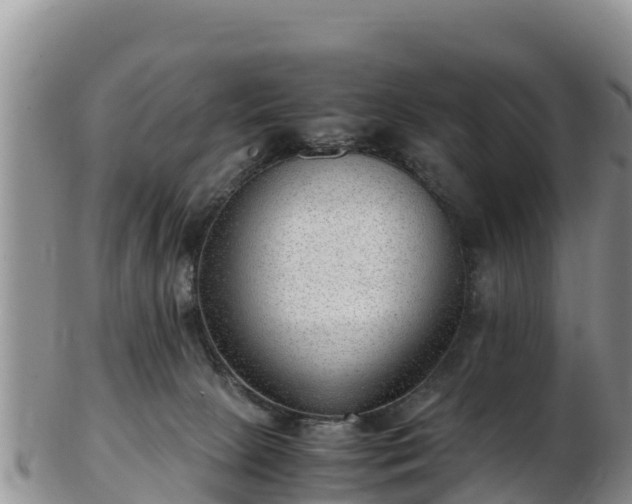 X0000103310081200809051554