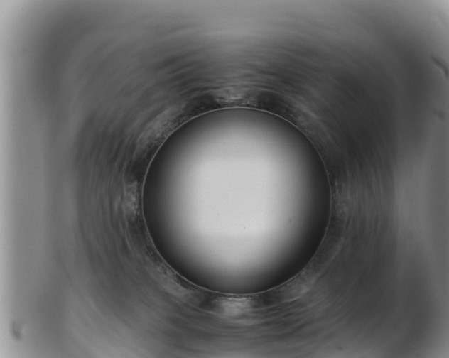 X0000103310085200809051554