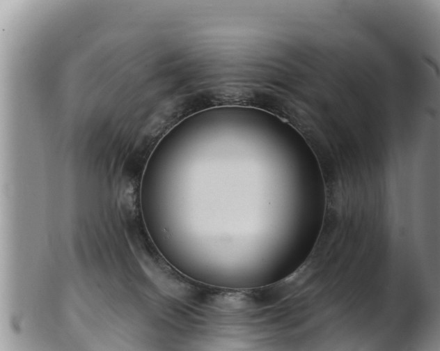 X0000103310086200809051554