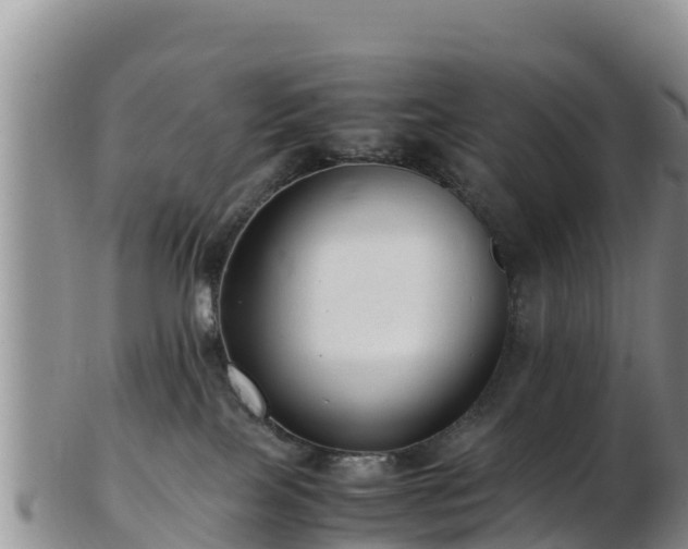 X0000103310089200809051554