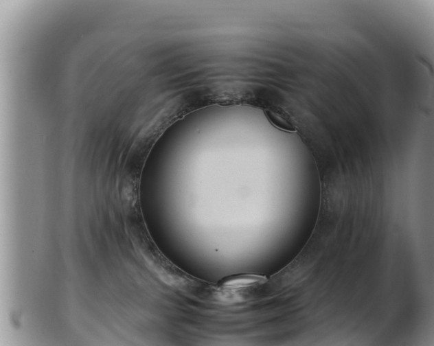 X0000103310091200809051554