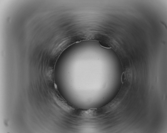 X0000103310092200809051554