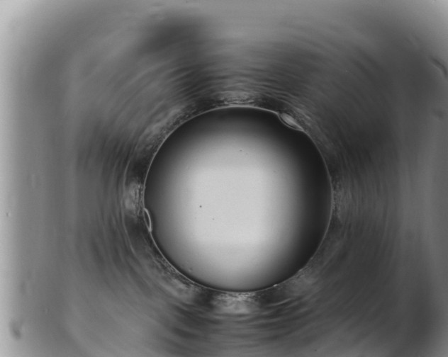 X0000103310093200809051554