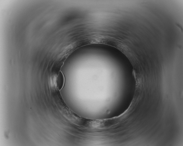 X0000103310094200809051554