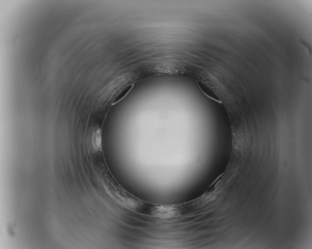 X0000103310095200809051554