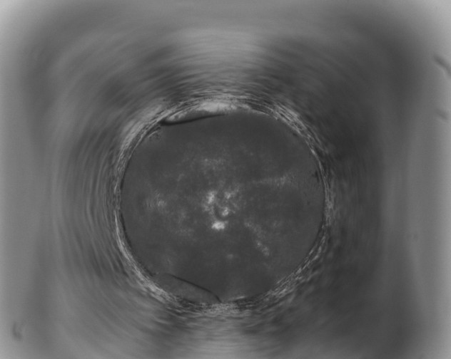 X0000103310097200809051554