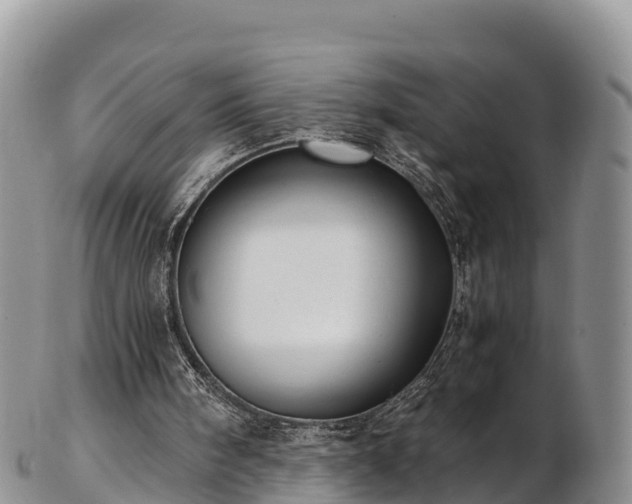 X0000103310098200809051554
