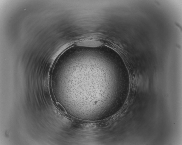 X0000103310100200809051554