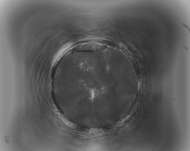X0000103310101200809051554