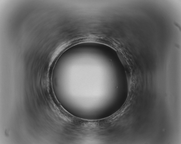 X0000103310102200809051554
