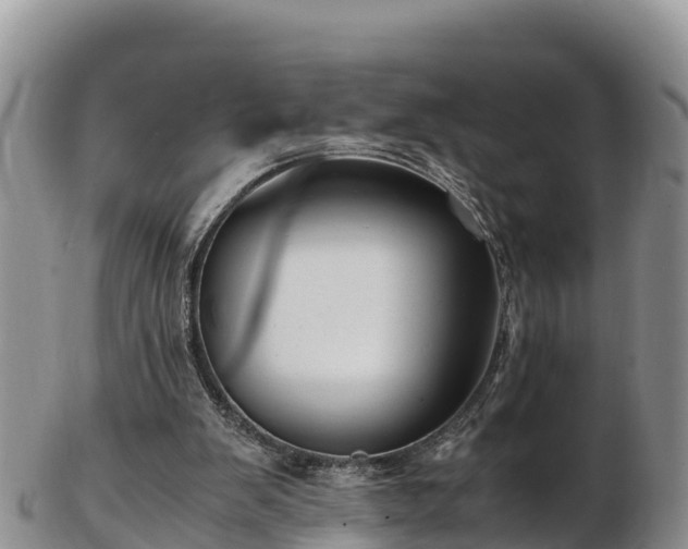 X0000103310103200809051554