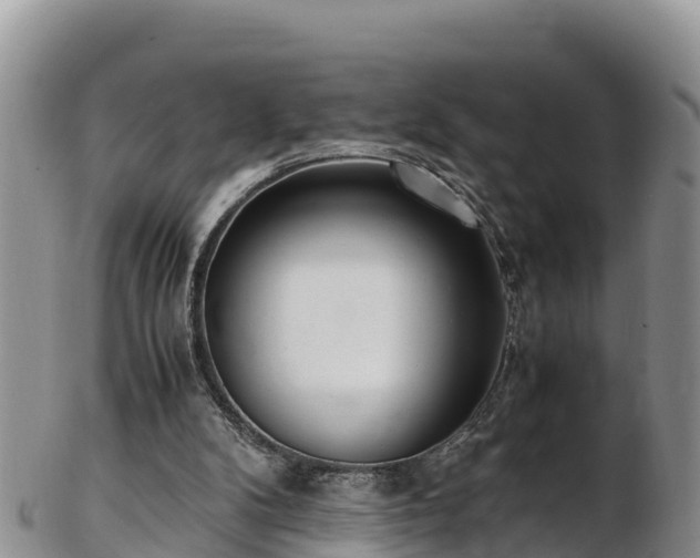 X0000103310104200809051554