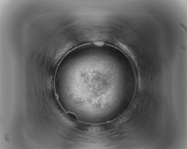 X0000103310105200809051554