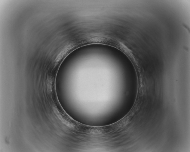 X0000103310106200809051553