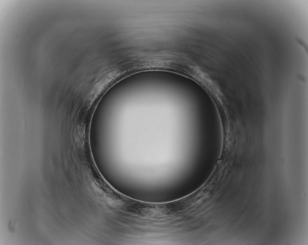 X0000103310107200809051553