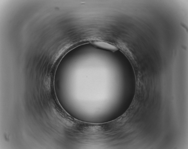 X0000103310108200809051553