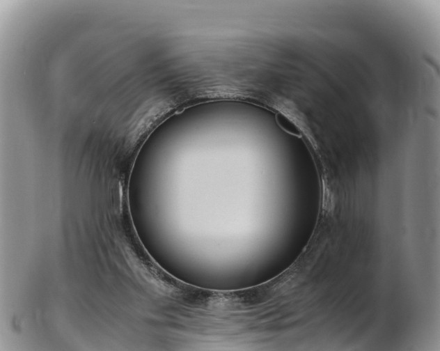X0000103310109200809051553