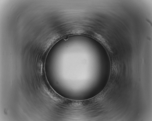 X0000103310110200809051553