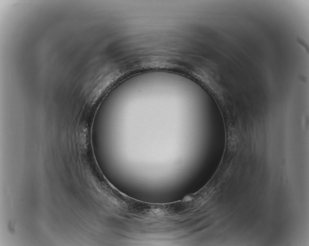 X0000103310111200809051553