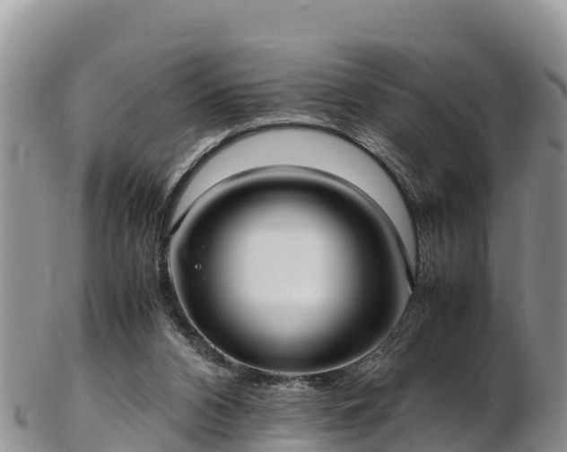X0000103310112200809051553
