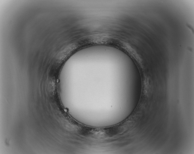 X0000103310113200809051553
